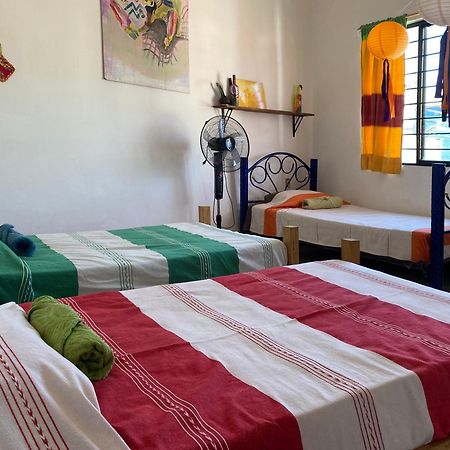 Auberge de jeunesse Casa El Mundo à Oaxaca Extérieur photo